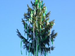 K06
